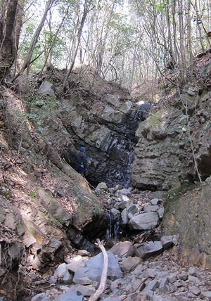 ヒガ谷の滝