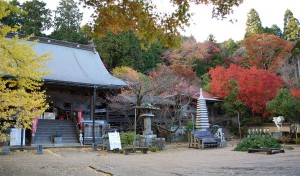 大山寺紅葉
