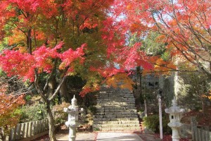 大山寺１０