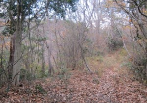 峠画像