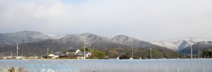 firstsnowfall