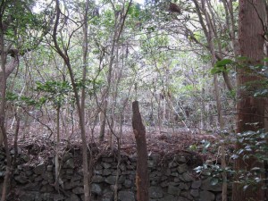 石垣2