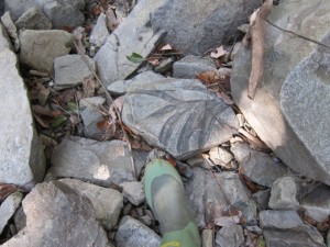 IMG_8612