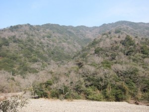 IMG_8638