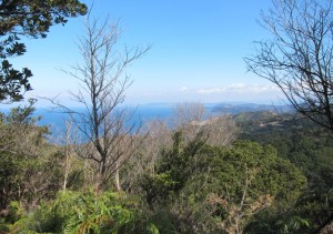 海２