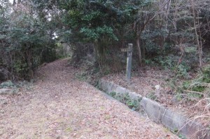 Ｂ分岐