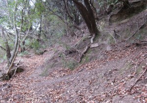 宿毛谷分岐１