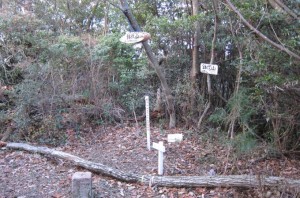 鉢伏山頂上
