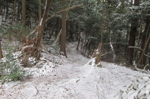 雪道