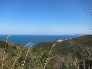 海