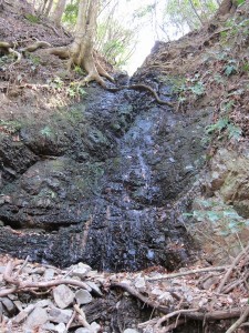 支流の滝