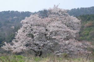DSC_0058_027