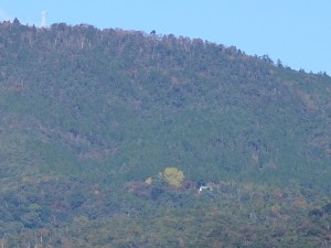 大山寺紅葉