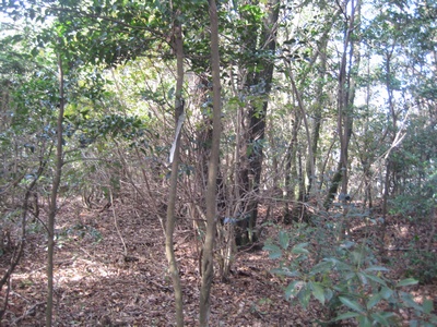 内谷山