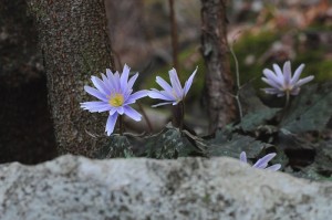 DSC_03991