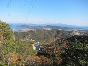 img_0523