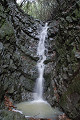 mitsugashira1_thumb.jpg