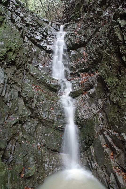 mitsugashira4.jpg
